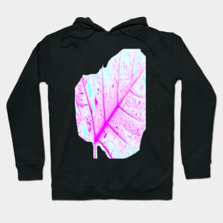 Abstract Tropical Leaf (Close Up) Hoodie